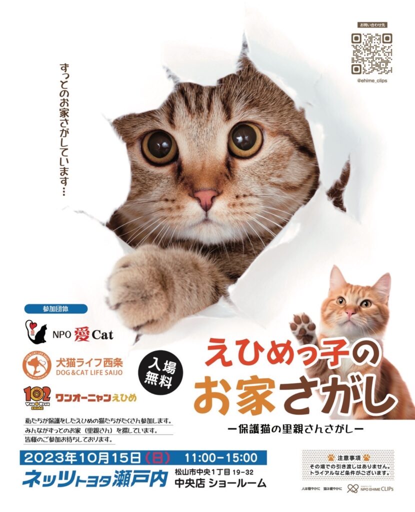 NPO愛♡Cat | 愛媛県松山市に設立した保護猫団体です。譲渡会での里親