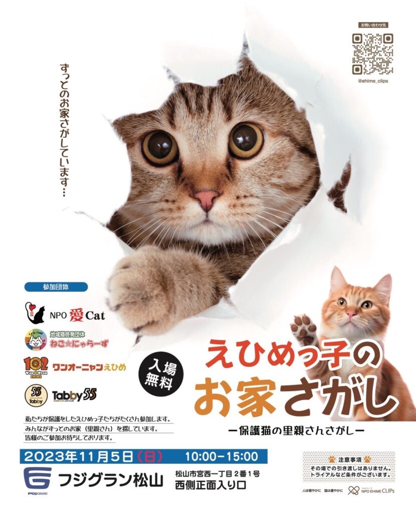 NPO愛♡Cat   愛媛県松山市に設立した保護猫団体です。譲渡会で
